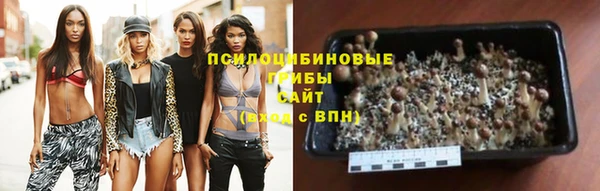 трава Беломорск