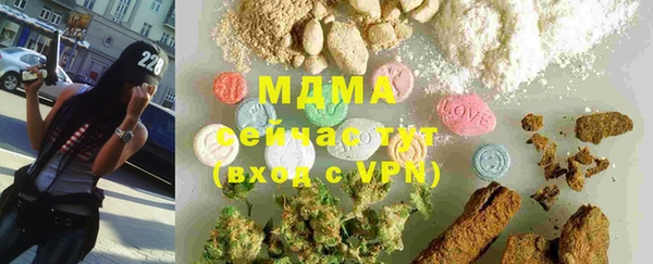 гашик Белокуриха