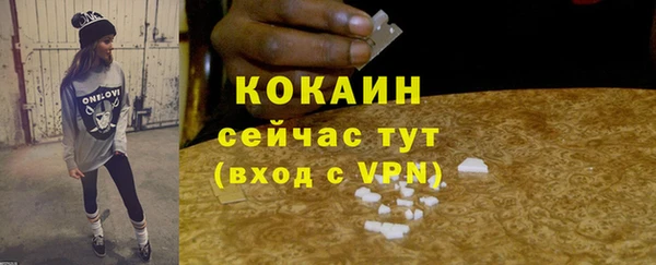 гашик Белокуриха